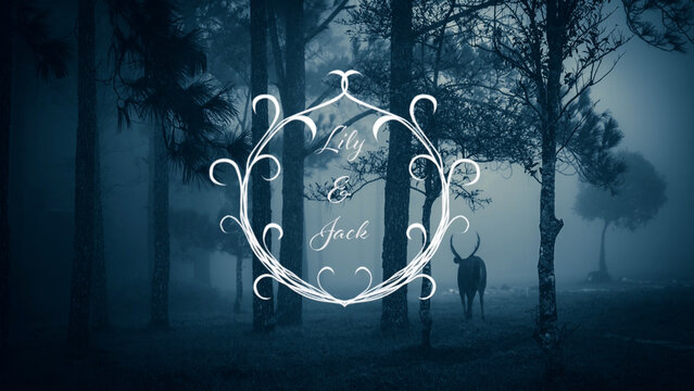 New Minimal Lovely Wedding Title 03