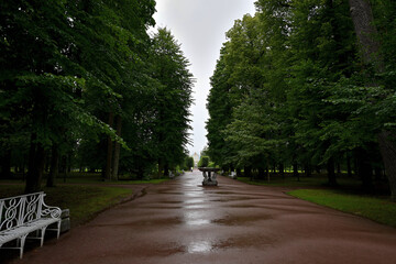 The alley leading to the Catherine Palace in the Catherine Park.