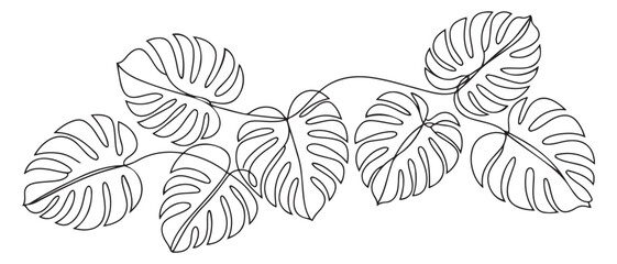 Hand-drawing one continuous line art of tropical monstera leaves. one line Icon drawing with white background © MofajjolHossen
