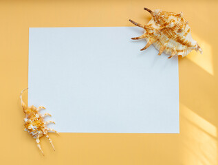 Collection of exotic seashells with unique spiky shapes and natural textures, arranged on a light background with free space for text, perfect for cards, invitations, or document design.