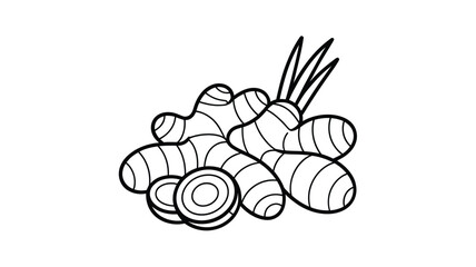 Hand drawn illustration of fresh ginger root and slices