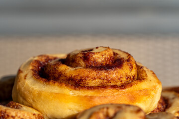 Freshly baked cinnamon roll close-up with golden crust and swirl pattern