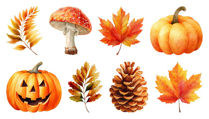 PNG Autumn elements nature festive illustration, element set on transparent background