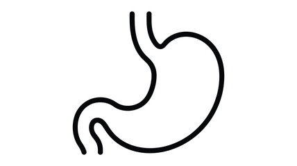 Simple outline illustration of the human stomach organ