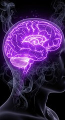 The Human Brain A Marvel of Nature