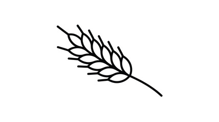 Simple hand drawn line art of a wheat stalk on a white background