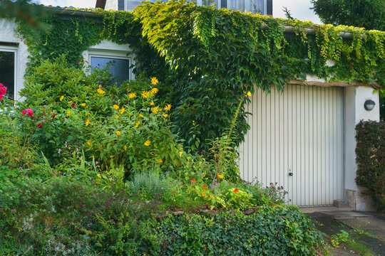 Wohnen nah in der Natur, auf dem Lande in Marbach, mit Wein und Efeu zugewachsen
