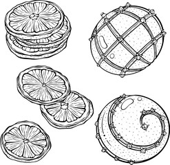 Set of Christmas holiday citrus, dried orange slices and whole decorated with cloves. For card, poster, graphic design. Vector illustration in hand drawn sketch style. Line art isolated on white