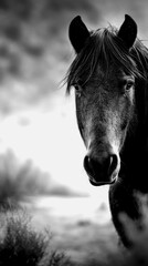 Horse standing in a serene landscape during twilight