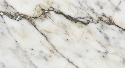 Detailed Close-Up of White Marble with Dark Veins and Texture