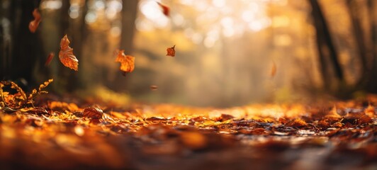 The autumn leaves swirling gracefully in a serene forest setting.