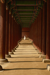 Fototapeta premium A captivating view of traditional Korean architecture featuring a long corridor with intricately painted wooden beams and columns. A woman dressed in a hanbok stands at the end of the corridor, add...