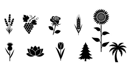 Floral, Botanical, Plant, and Nature Icons A Collection of Black and White Silhouettes for Design Projects