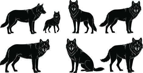 Black wolf silhouettes in various poses, standing, sitting, walking, isolated on white background, realistic fur detail, wild animal illustration