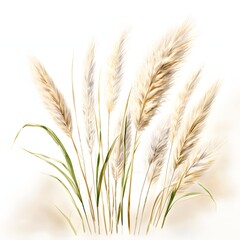 Fototapeta premium The illustration shows a bunch of pampas grass with long, feathery plumes and green leaves against a white background.