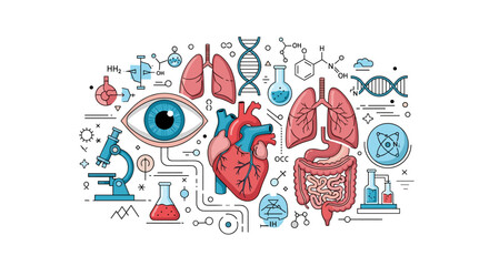 An illustrative depiction of the human body's intricate biological systems and cellular structures.