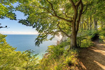 M&oslash;ns Klint