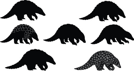 Pangolin silhouette illustrations, black vector, scale texture, walking pose, curled tail, stylized posture, animal design, character set, wildlife art