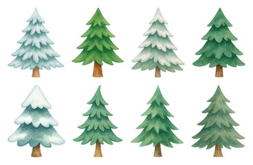 PNG Watercolor evergreen trees illustration, element set on transparent background