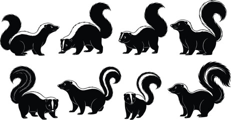 Stylized skunk illustrations, black and white, standing, walking, sitting, crouching, bushy tail, animal design, vector art, cartoon posture set