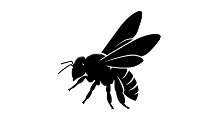 Detailed Silhouette of a Honey Bee on a white background