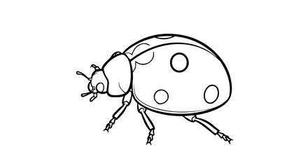 Cute Silhouette Outline of a Ladybug on a transparent Background