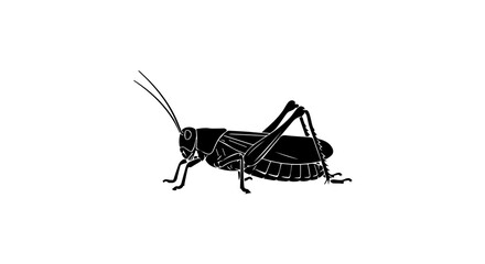 Grasshopper Black and White Silhouette on transparent Background 