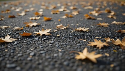 Macro of rough asphalt with scattered dry leaves