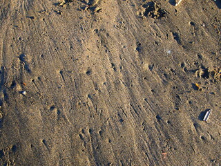 rusty metal background