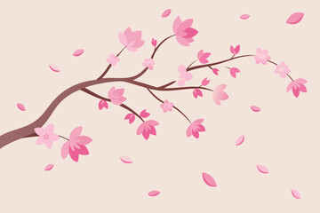 Delicate pink cherry blossoms bloom on a tree branch with petals falling