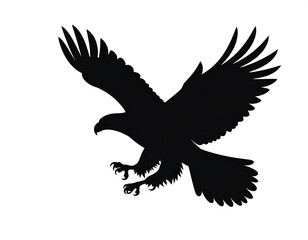 Obraz premium Silhouette of a soaring eagle