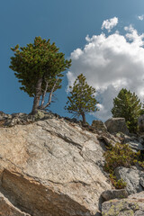 Majestic rocks with green trees under blue sky dotted with clouds