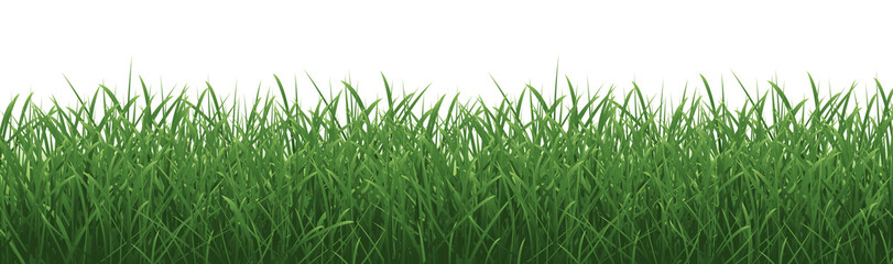 Grass Border And Isolated White Background