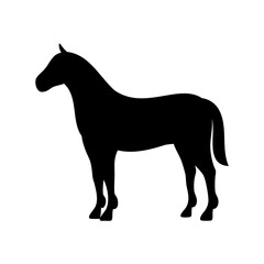 Black Silhouette of a Horse Standing in Profile on White Background