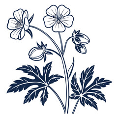 geranium pratense silver queen vector