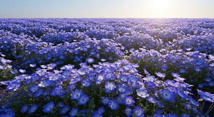 A vast field of bright blue flowers under a clear sky