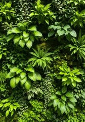 Lush green vertical garden wall with ferns hostas and ivy creating a vibrant display