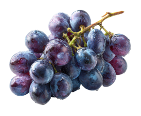 A fresh bunch of blue grapes with a leaf and water drops on a transparent background, perfect for product design, culinary blogs, packaging, and advertising