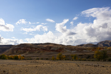 Autumn landscape in the Altai mountains. Golden trees contrast with the rocky mountains under the blue sky and snowy mountains.