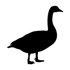 Silhouette of goose vector image waterfowl bird illustration avian wildlife animal standing nature black and white art
