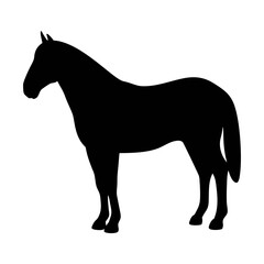Horse silhouette vector image for equine design projects and animal illustration resources online