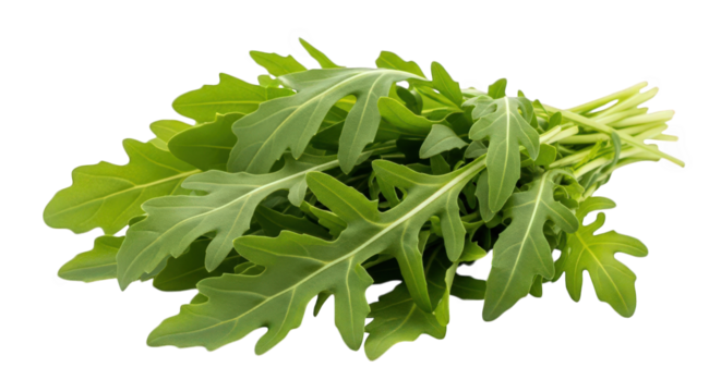 Fresh Bunch of Arugula Leaves with Stems on a Checkered Background, Ideal for Salad Ingredients, Healthy Eating, and Culinary Photography Projects