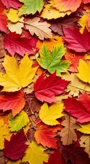 Colorful autumn leaves background with vibrant reds yellows and greens perfect for fall 90