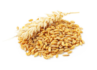Wheat grains and dry spike isolated on white