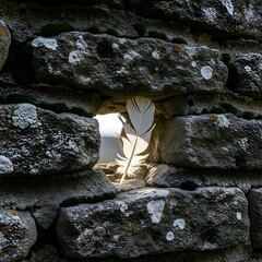 Feather in stone wall crevice with bright light shining through the opening behind it