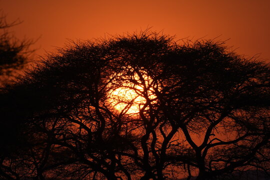 Amanecer em Omaruru, Namibia