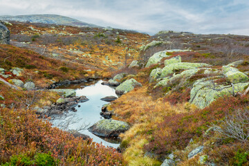 Silence in reflections is captured in a small mountain pond among Scandinavian rocks and autumn colors, evoking Nordic calm in the north of Norway.