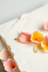 Close up shot of pink and yellow flower petals scattered on a white textured paper surface backdrop
