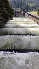 Bradford Island Fish Ladder at Bonneville Dam, Columbia River Gorge
