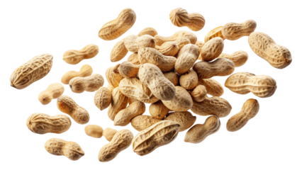 A generous pile of roasted peanuts in their shells scattered artistically isolated on transparent background
